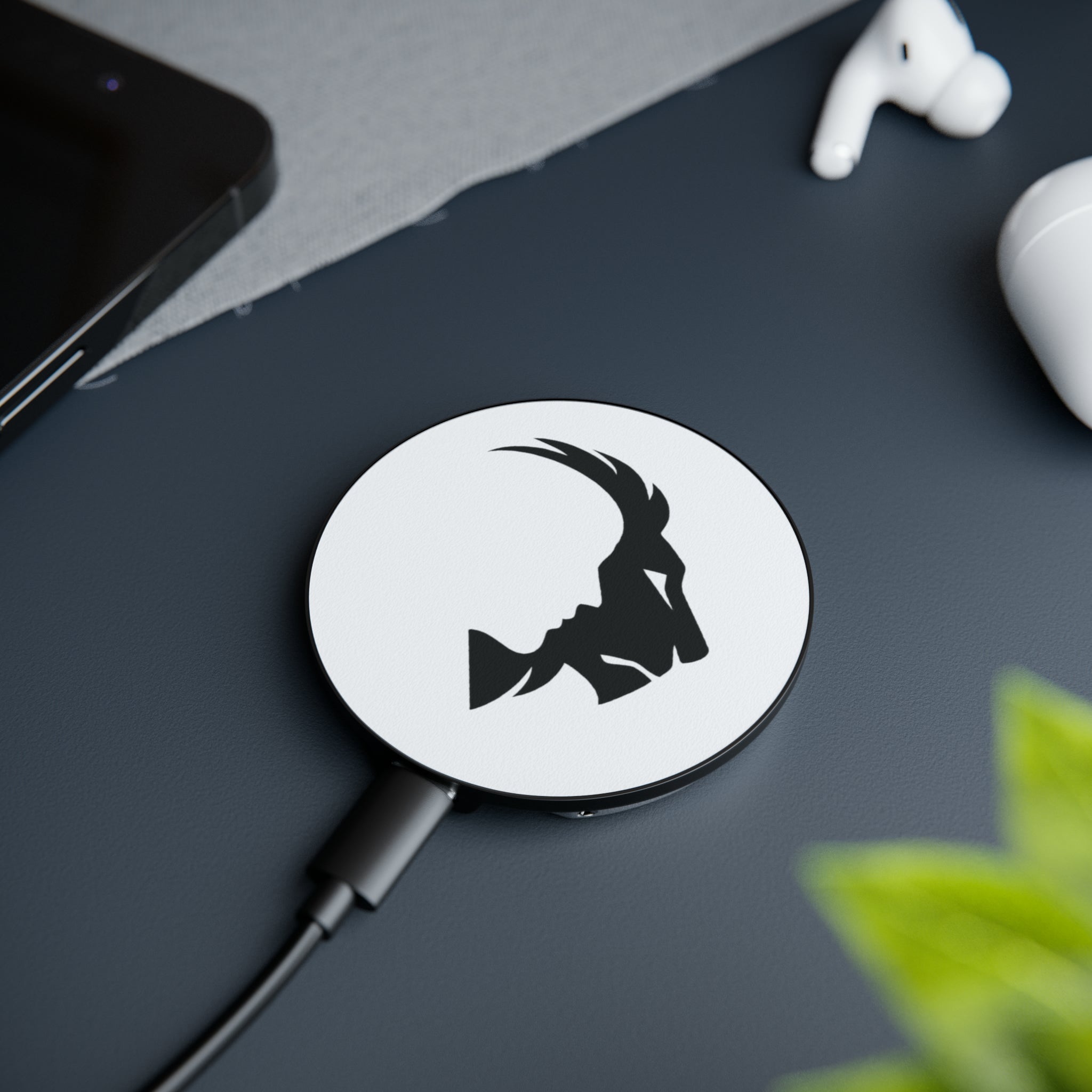 Magnetic Induction Charger