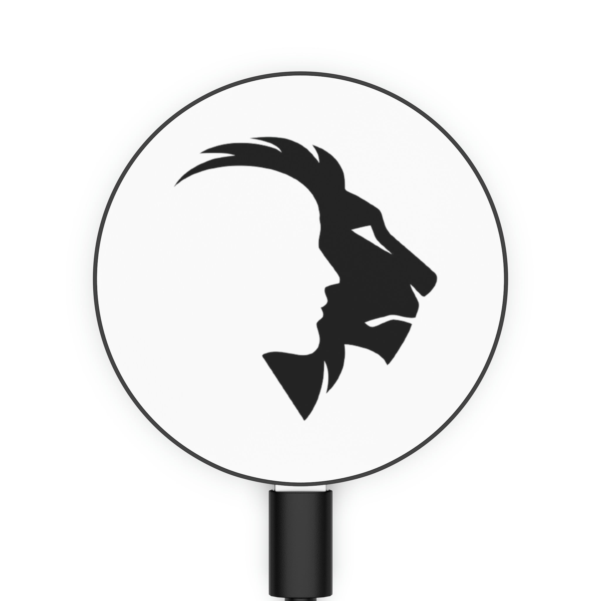 Magnetic Induction Charger