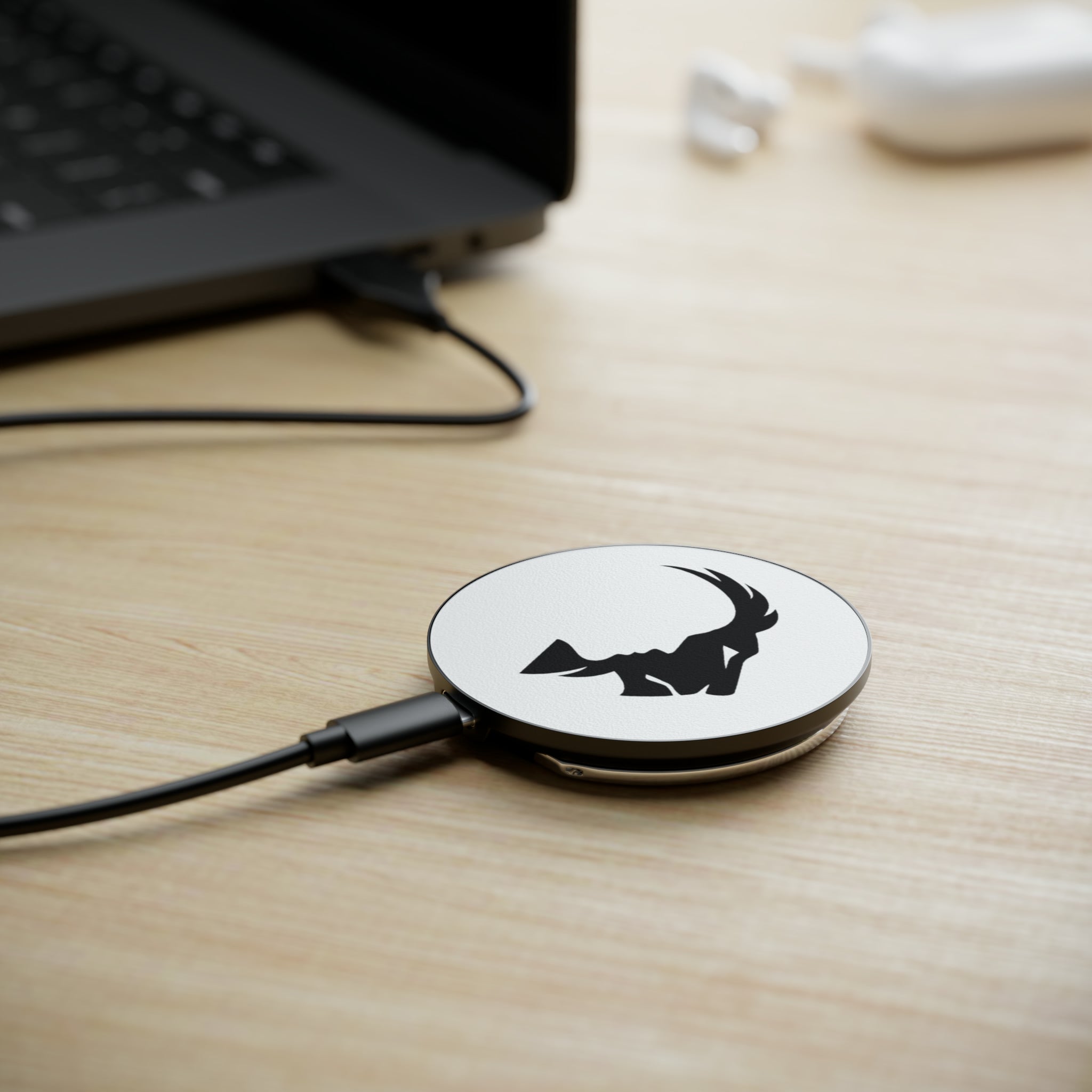 Magnetic Induction Charger