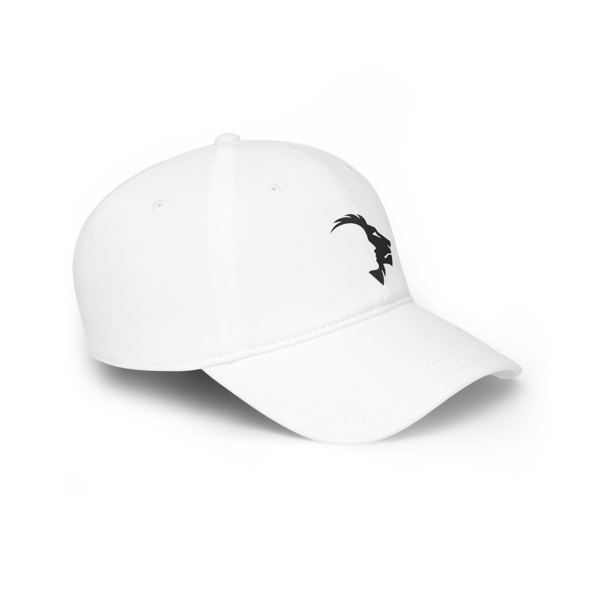 Low Profile Baseball Cap