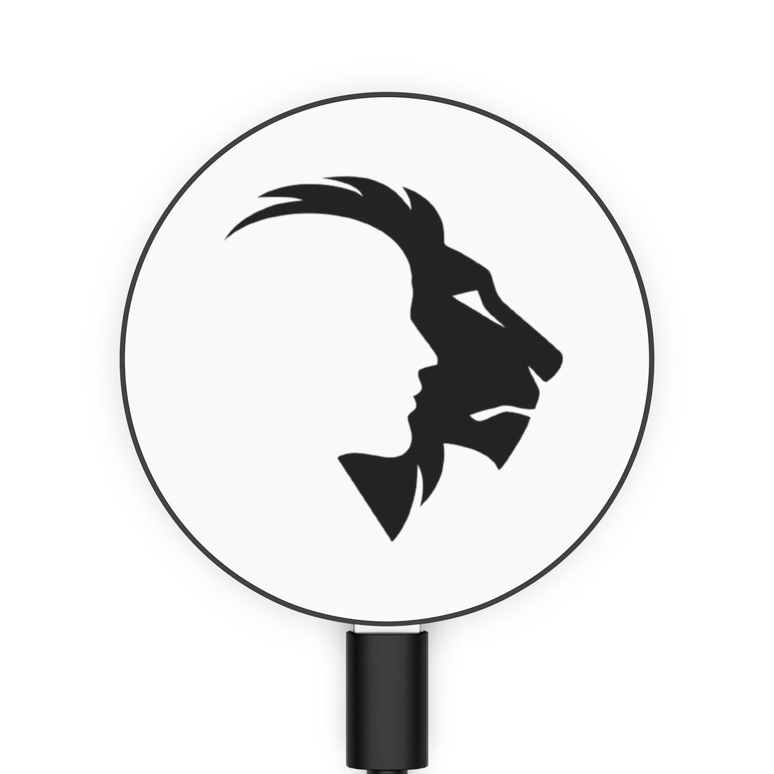 Magnetic Induction Charger